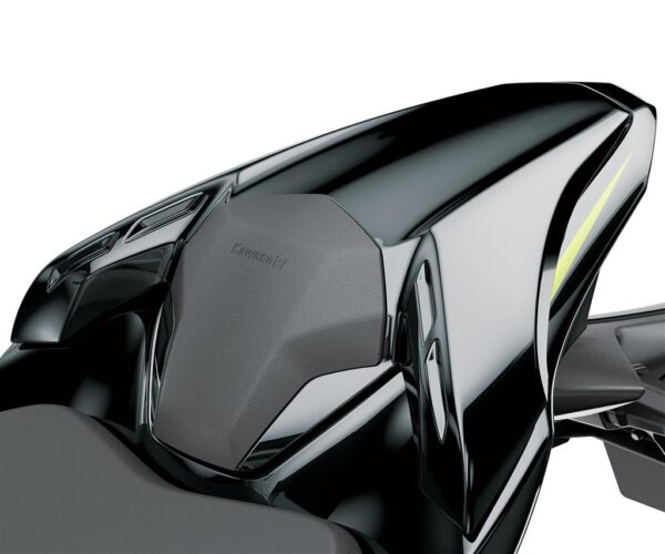Pillion seat cover - Image 2