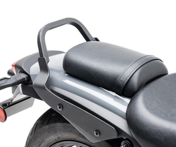 Passenger grab bar - Image 3